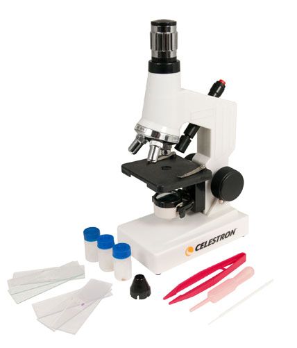 Микроскоп Celestron 40x–600x для школьников: увеличение, оптика, подсветка