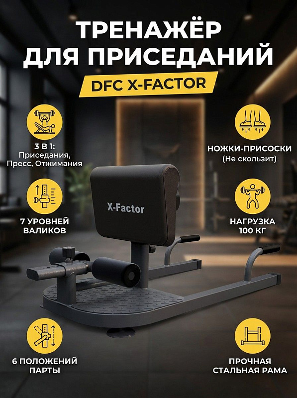 Тренажер для приседаний DFC X-Factor
