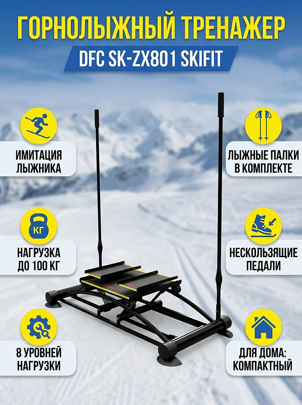 Горнолыжный тренажер DFC SK-ZX801
