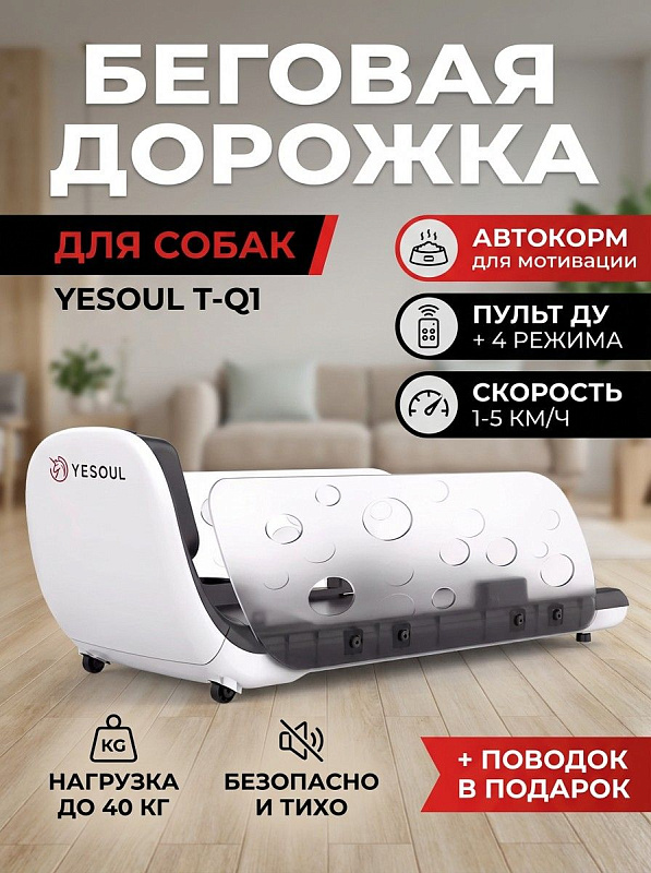 Электрическая беговая дорожка для собак DFC Yesoul T-Q1 с мотором 100 Вт, декой 9 мм и защитным барьером для тренировки питомцев весом до 40 кг, укомплектованная пультом ДУ, лотком для корма и поводком 840 мм