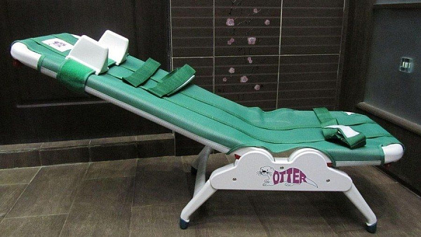 Кресло для купания Otter размер M для детей с ДЦП: регулируемое, складное, до 60 кг